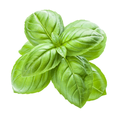 Albahaca Genovesa (manojo 125g)