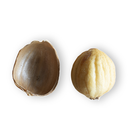 Ajo Japones (100g)