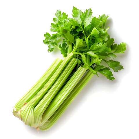 Apio Verde