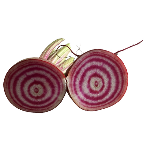 Betabel Baby Chioggia (manojo 250g)