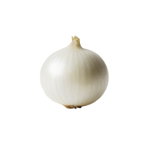 Cebolla Blanca