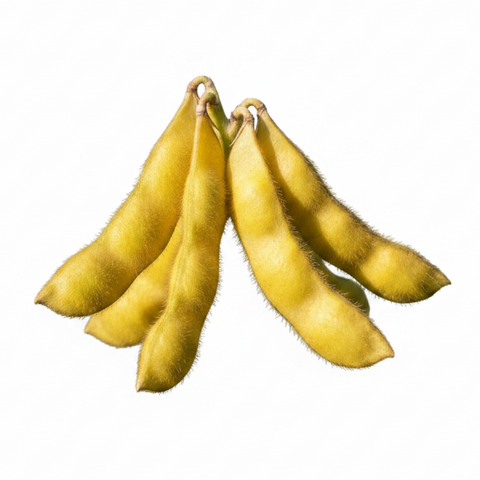Chícharo Amarillo Plano (175g)