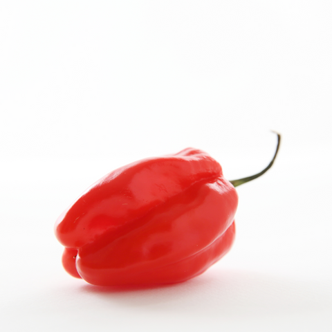 Chile Bola (100g)