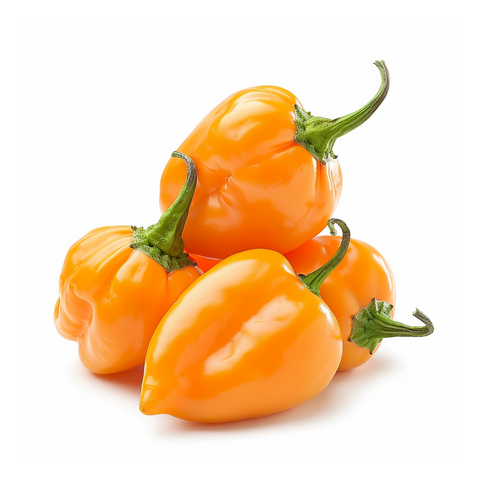 Chile Habanero