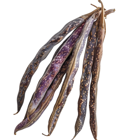 Ejote Morado