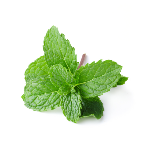Hierbabuena (manojo 125g)