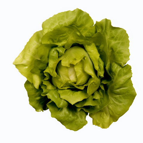 Lechuga Mixta