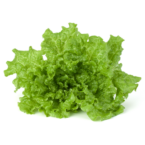 Lechuga Verde Variada