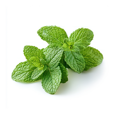 Menta (manojo 125g)