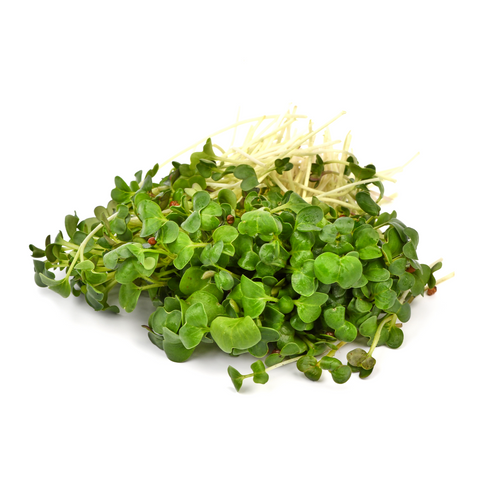 Microgreens Mild (domo de 100g)