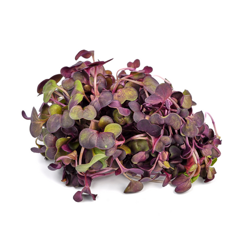 Microgreens Spicy (domo de 100g)