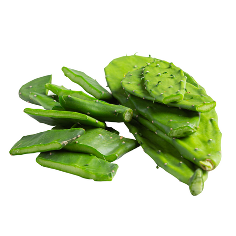 Nopal