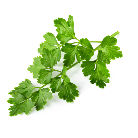Perejil (manojo 125g)