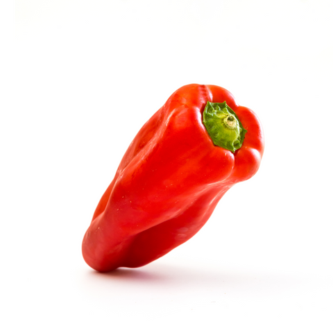 Pimiento Shishito Rojo (domo 250g)