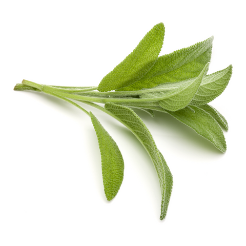 Salvia (manojo 125g)